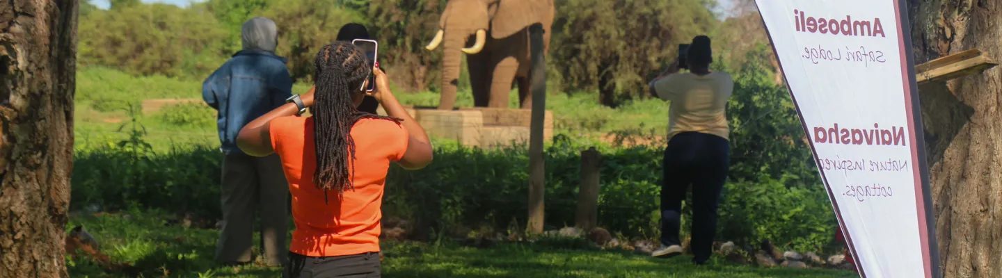 Elephant at Amboseli