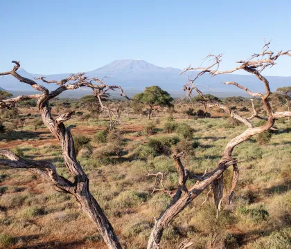 DJI_0343 — Wide aerial of Amboseli plains