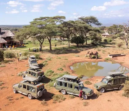 DJI_0301 — Drone shot of waterhole with animals