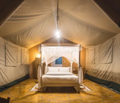 Mosquito net over bed at night