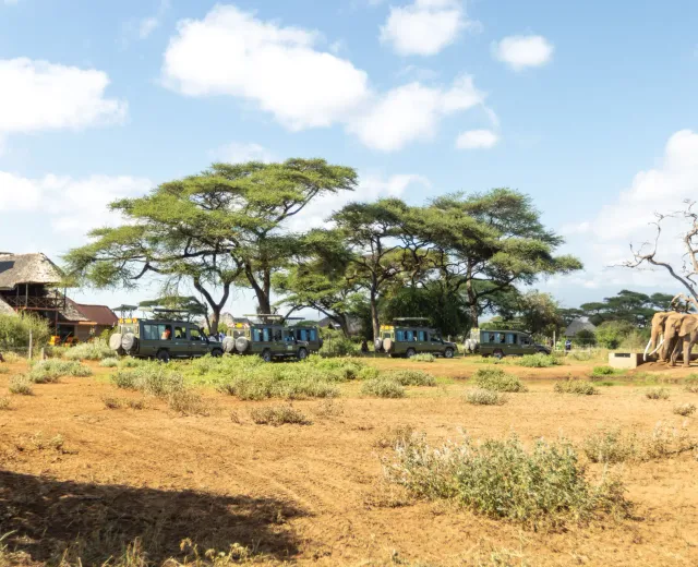Safari game drive at golden hour